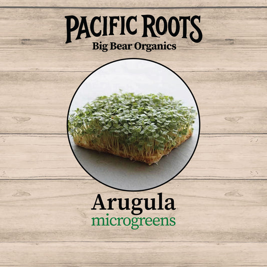 Fresh Organic Arugula Microgreens - Pacific Roots Farm